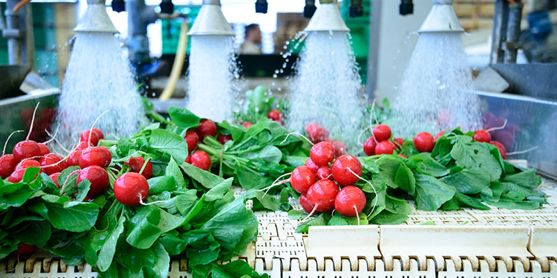 Produktion & Distribution 800X400