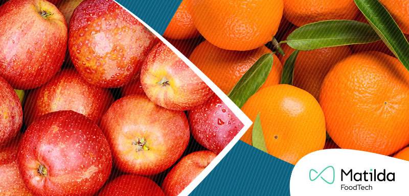 800X400 Fruit2