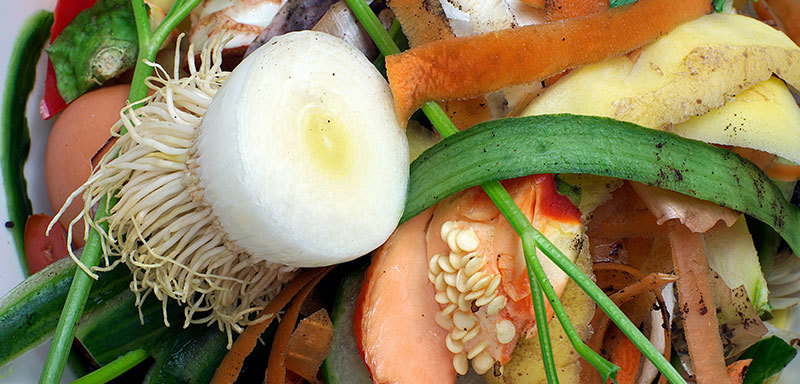 Food Waste