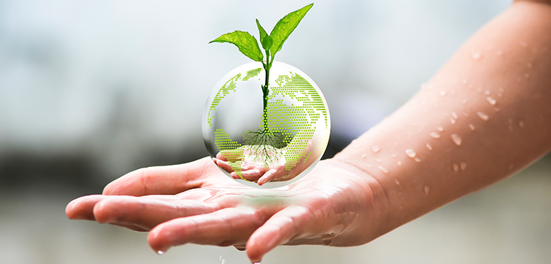 Matilda Hallbarhet 800X400