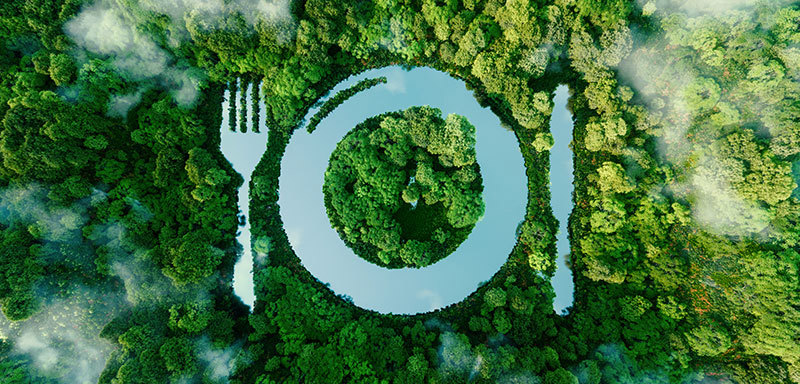 Sustainability Website