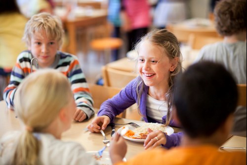 skollunch