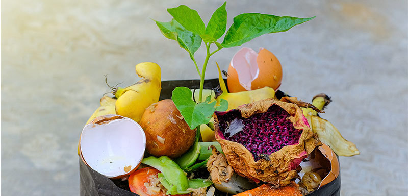 Foodwaste 800X400