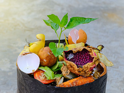 Foodwaste 500