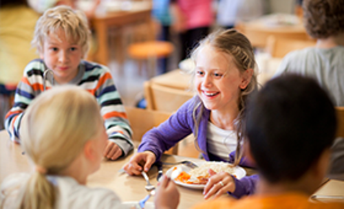 Skola och förskola