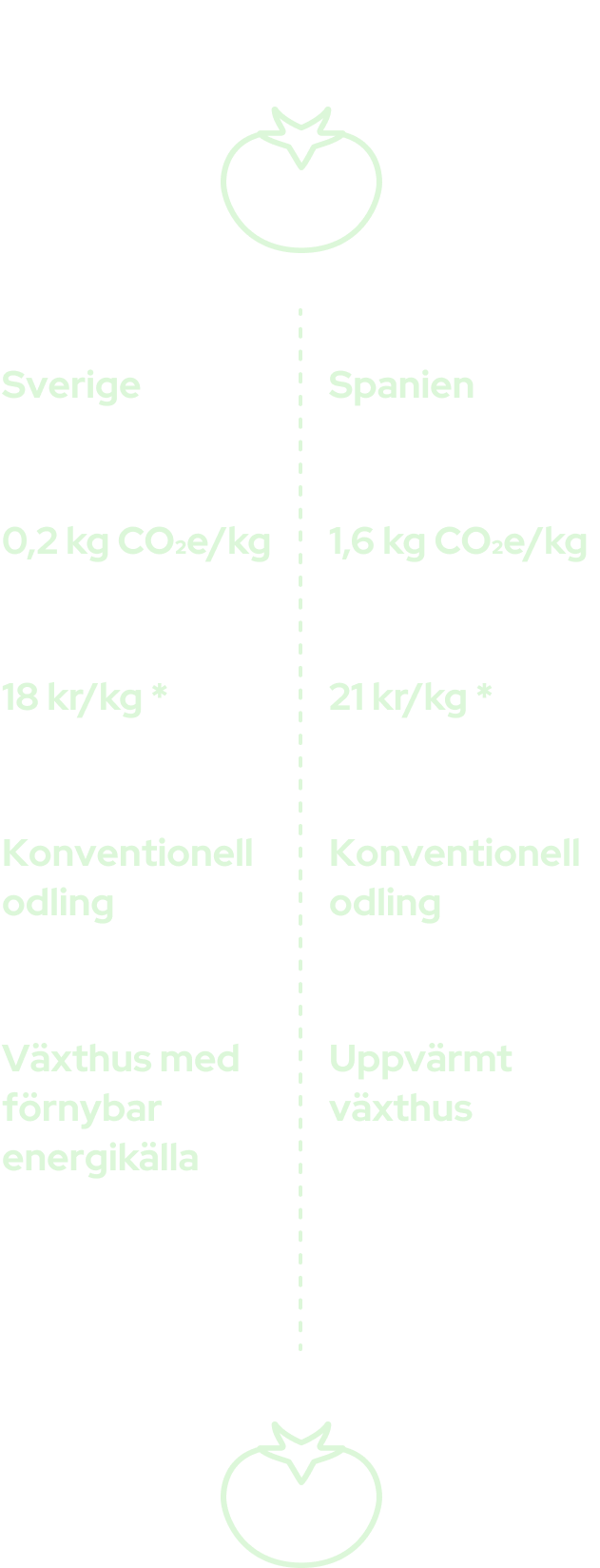 Lorem ipsum