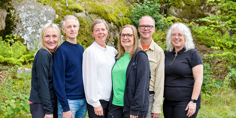 Upphandlingsstöd Website