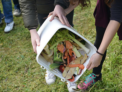Foodwaste Blogginlägg 2